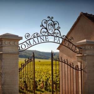 Domaine Faiveley Musigny Grand Cru 2018